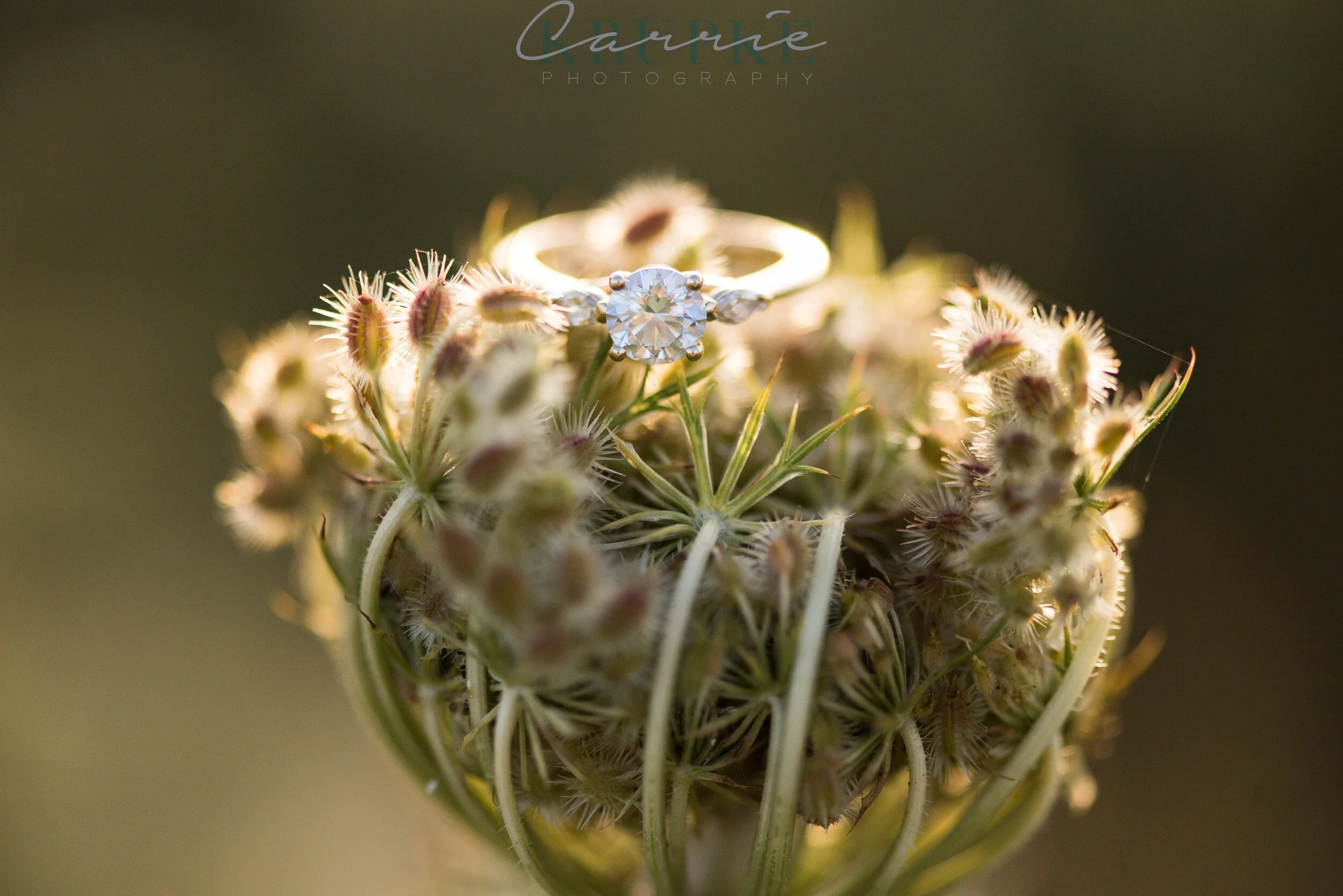 Paul + Macy : Engaged!